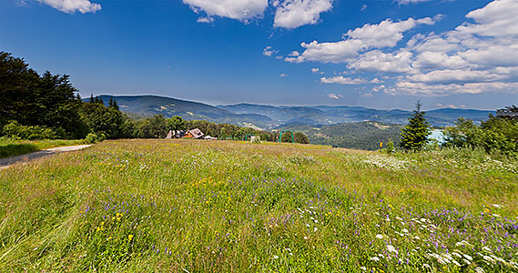 Soszów - panorama na N i E