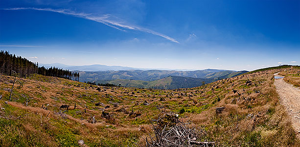 Pomiędzy Skrzycznem a Małym Skrzycznem - panorama na Magurę Radziechowską