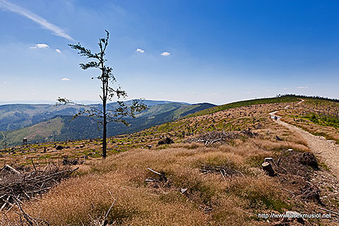 Beskid Śląski