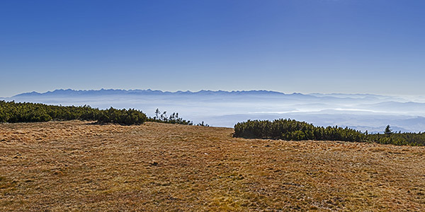 Babia Góra - widok na Tatry - panorama
