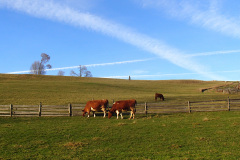 2013.11.17 Barania Góra