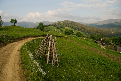 Cieńków