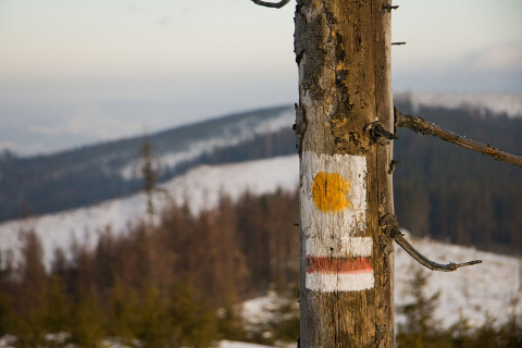 IW drodze na Magurkę Radziechowską