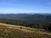 IMG_9855.jpg
