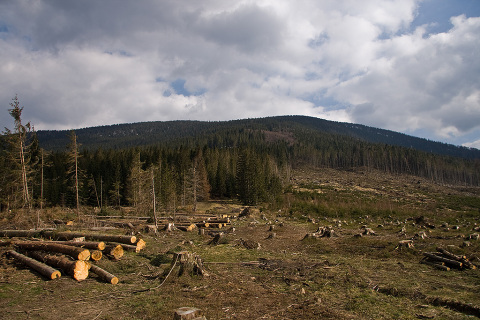 Suchy Groń - widok na Romankę