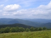 IMG_8936_img_015.jpg