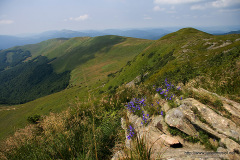 Bieszczady 2009