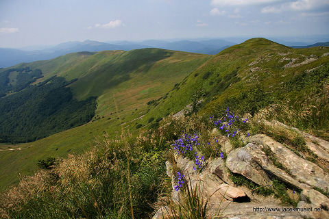 Szeroki Wierch z Tarnicy