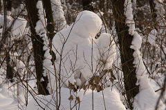 Świętochłowice - Wzgórze Hugona 21 II 2009