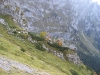 IMG_8199.jpg