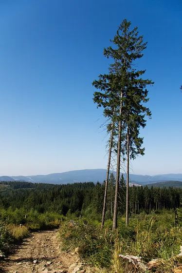 Babia Góra, zdjęcie 3