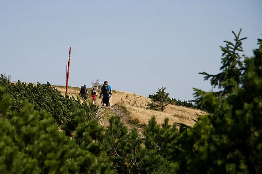 Babia Góra, zdjęcie 17