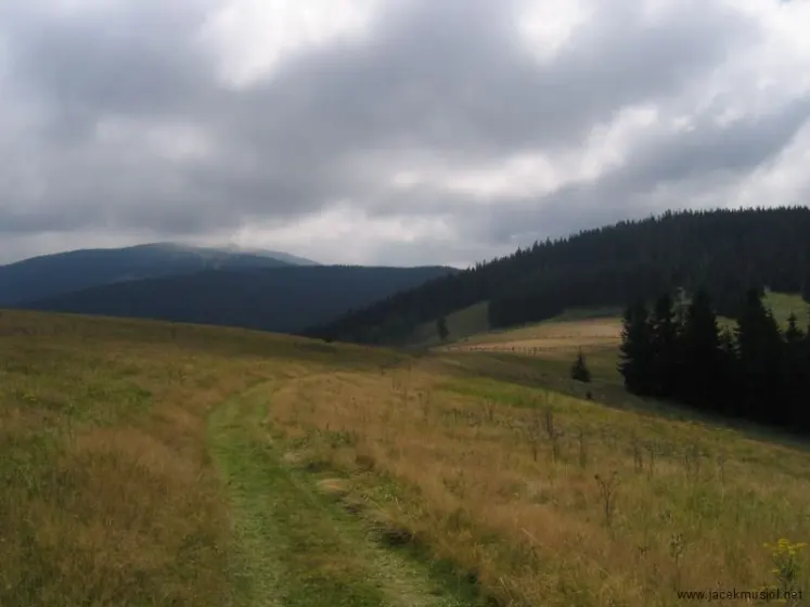 Hala Miziowa – Pilsko – Hala Rysianka, zdjęcie 6