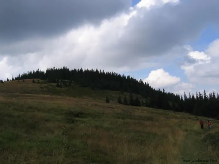 Hala Miziowa – Pilsko – Hala Rysianka, zdjęcie 8
