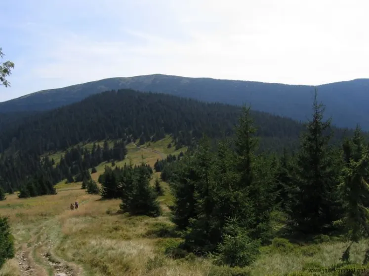 Hala Miziowa – Pilsko – Hala Rysianka, zdjęcie 36