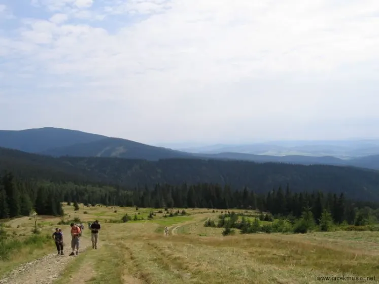 Hala Miziowa – Pilsko – Hala Rysianka, zdjęcie 38