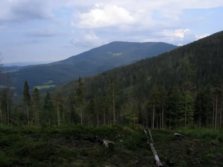 Hala Miziowa – Pilsko – Hala Rysianka, zdjęcie 46