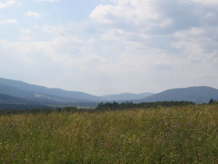 Bieszczady 2007 – Smerek – 28 07 2007, zdjęcie 7