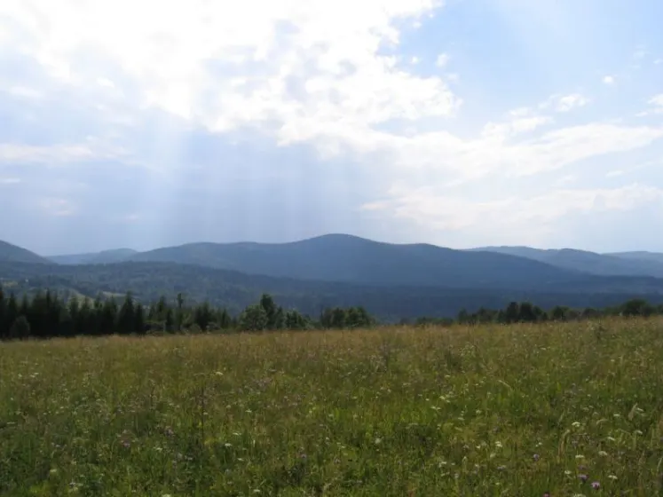 Bieszczady 2007 – Smerek – 28 07 2007, zdjęcie 8