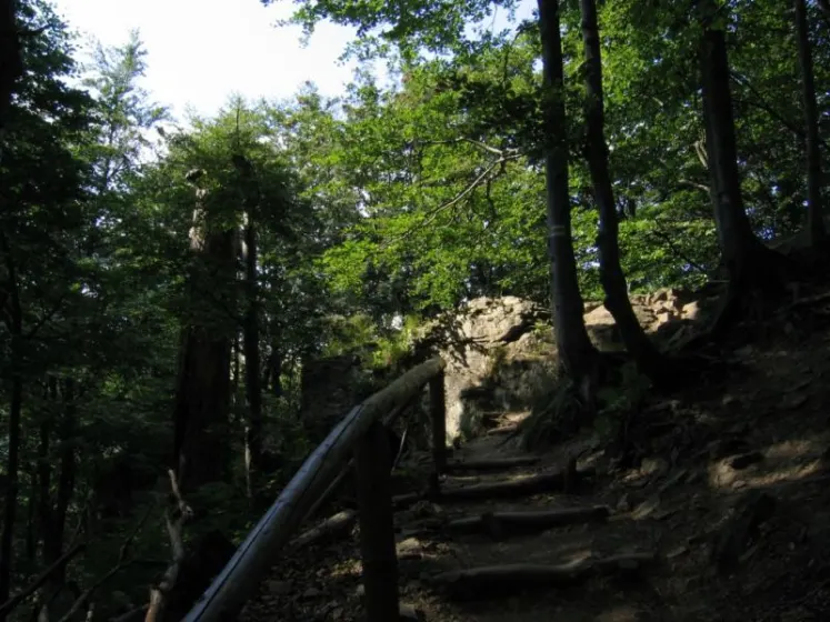 Bieszczady 2007 – Smerek – 28 07 2007, zdjęcie 10