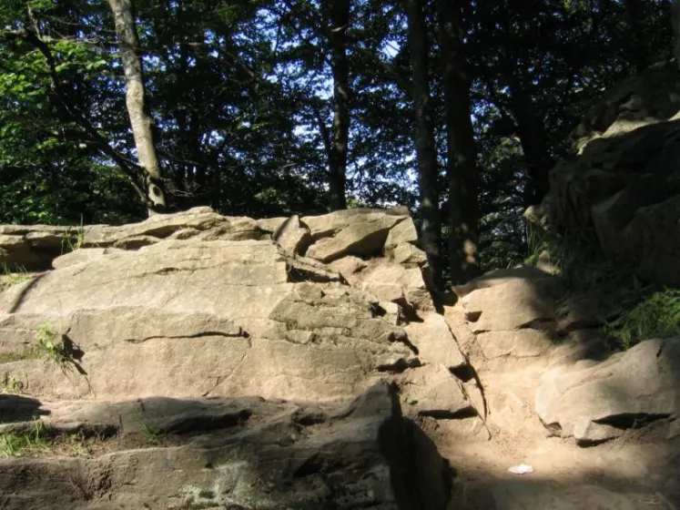 Bieszczady 2007 – Smerek – 28 07 2007, zdjęcie 11