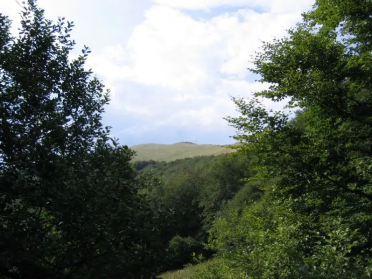 Bieszczady 2007 – Smerek – 28 07 2007, zdjęcie 12
