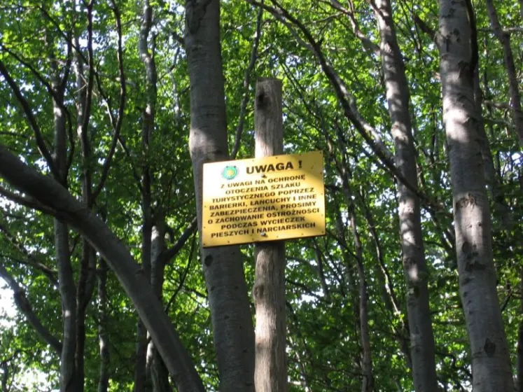 Bieszczady 2007 – Smerek – 28 07 2007, zdjęcie 13