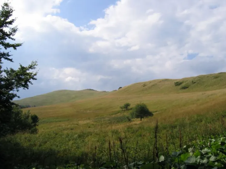 Bieszczady 2007 – Smerek – 28 07 2007, zdjęcie 14