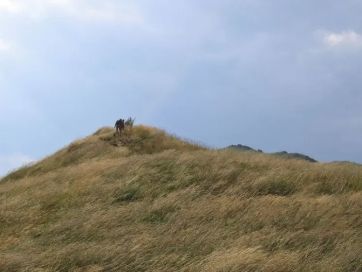 Bieszczady 2007 – Smerek – 28 07 2007, zdjęcie 18