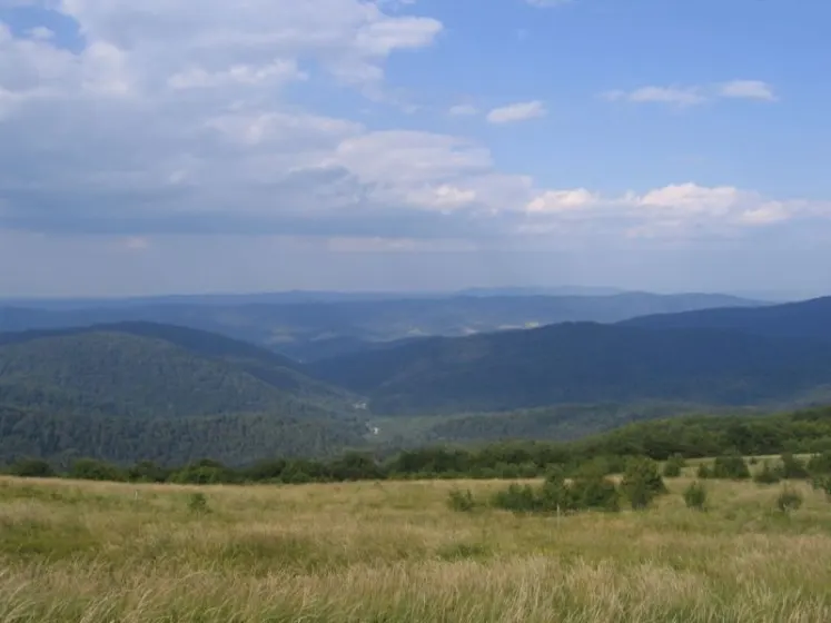 Bieszczady 2007 – Smerek – 28 07 2007, zdjęcie 20