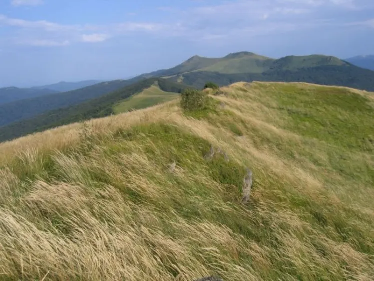 Bieszczady 2007 – Smerek – 28 07 2007, zdjęcie 25