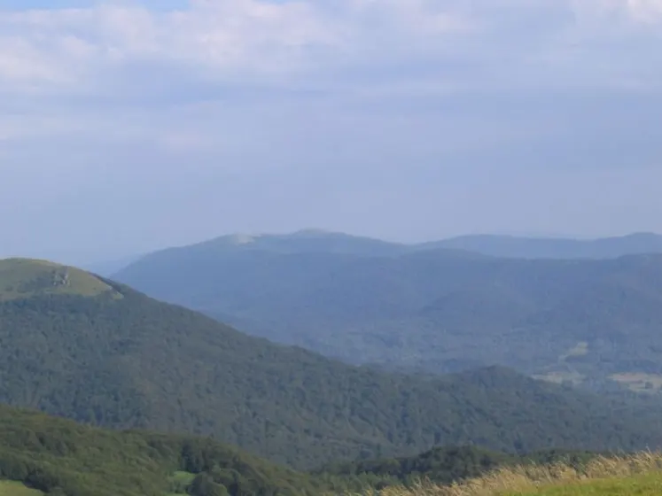 Bieszczady 2007 – Smerek – 28 07 2007, zdjęcie 28