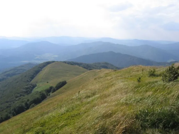 Bieszczady 2007 – Smerek – 28 07 2007, zdjęcie 35
