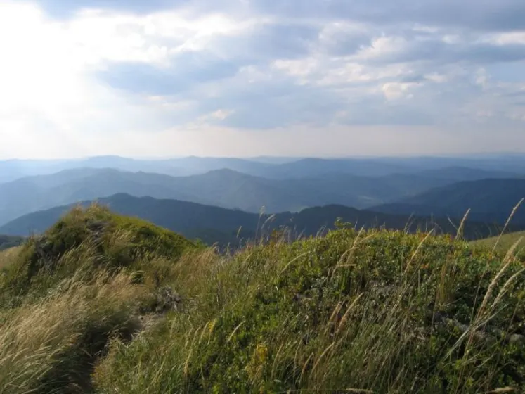 Bieszczady 2007 – Smerek – 28 07 2007, zdjęcie 44