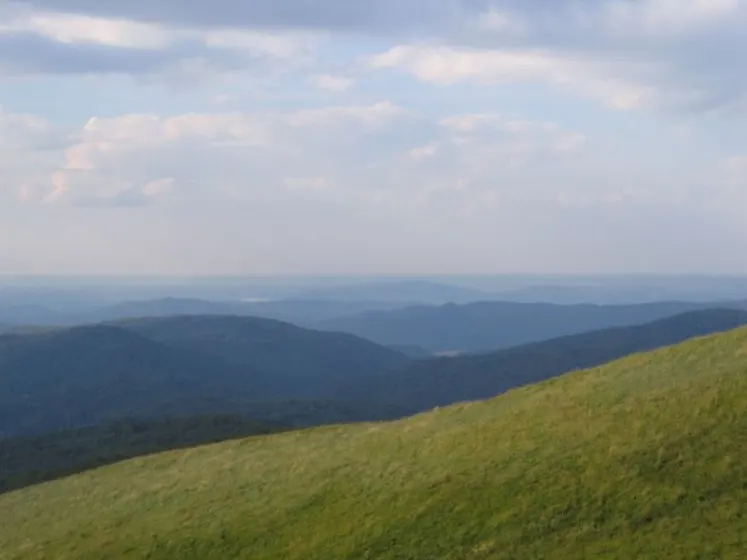 Bieszczady 2007 – Smerek – 28 07 2007, zdjęcie 47
