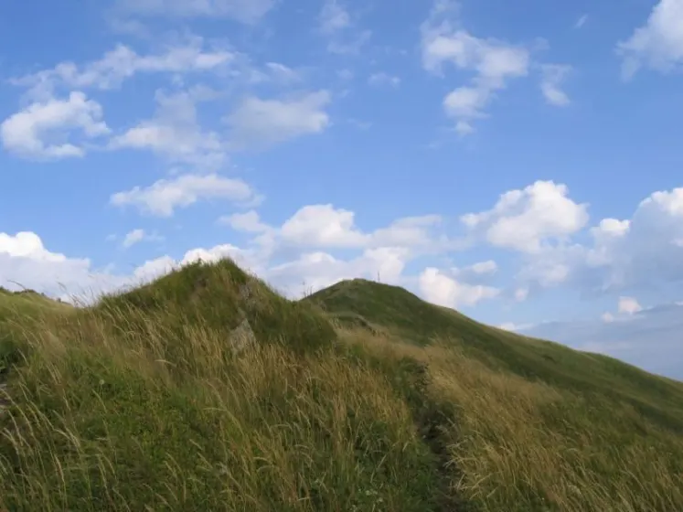 Bieszczady 2007 – Smerek – 28 07 2007, zdjęcie 48