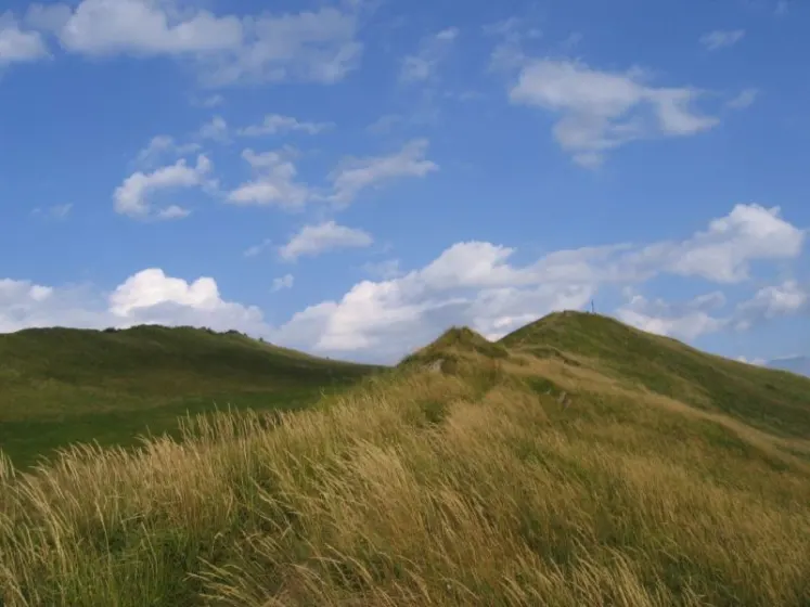 Bieszczady 2007 – Smerek – 28 07 2007, zdjęcie 49