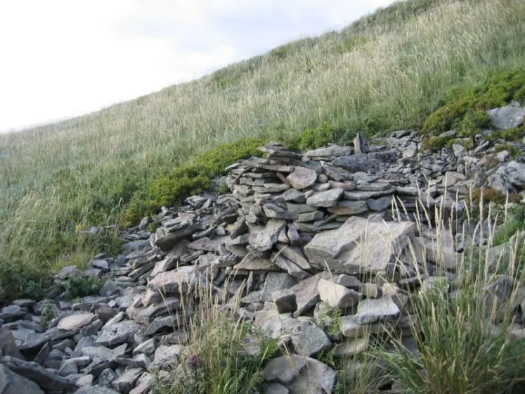 Bieszczady 2007 – Smerek – 28 07 2007, zdjęcie 50