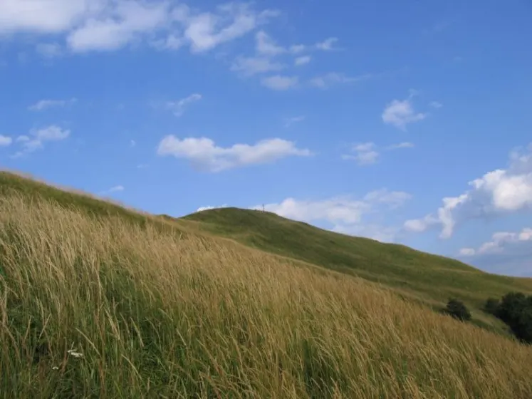 Bieszczady 2007 – Smerek – 28 07 2007, zdjęcie 51