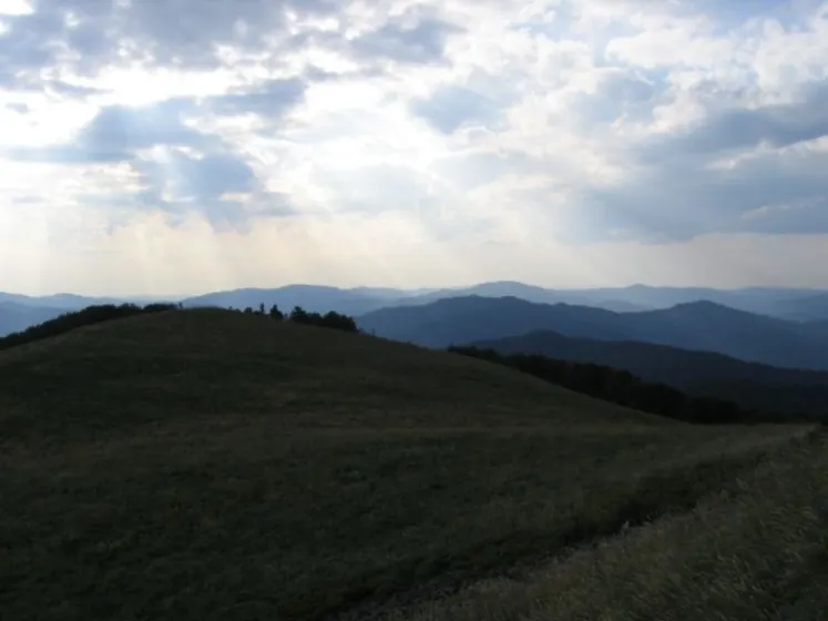 Bieszczady 2007 – Smerek – 28 07 2007, zdjęcie 54