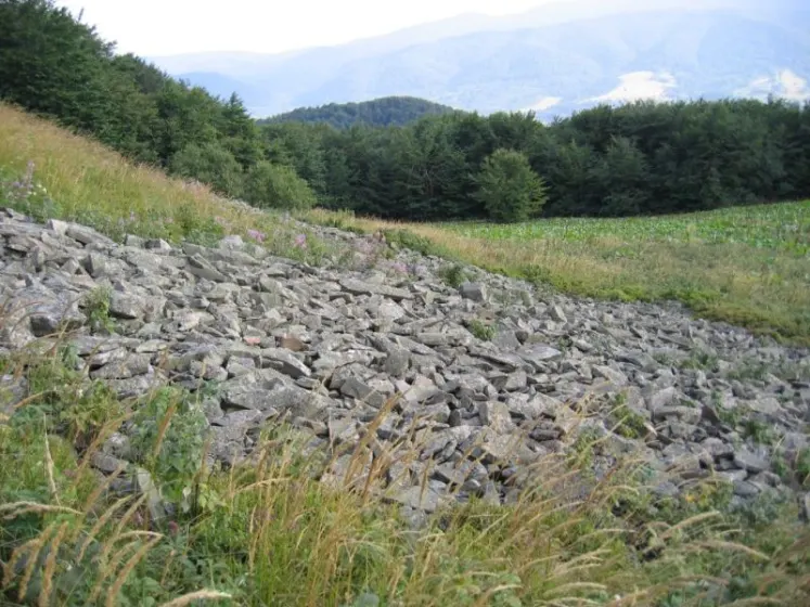 Bieszczady 2007 – Smerek – 28 07 2007, zdjęcie 55