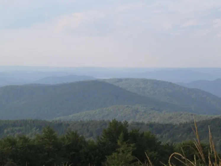 Bieszczady 2007 – Smerek – 28 07 2007, zdjęcie 62