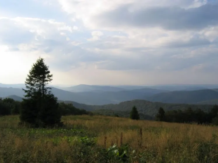 Bieszczady 2007 – Smerek – 28 07 2007, zdjęcie 63