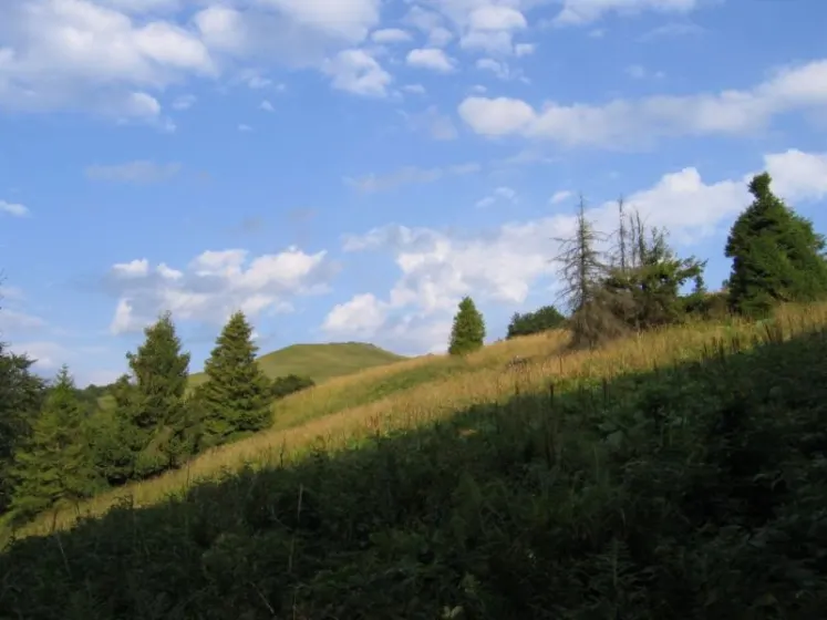 Bieszczady 2007 – Smerek – 28 07 2007, zdjęcie 64