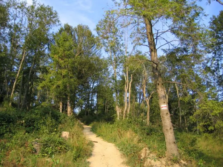 Bieszczady 2007 – Smerek – 28 07 2007, zdjęcie 66