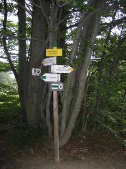 Bieszczady 2007 – Rabia Skała – Kremenaros – Wlk. i Mł. Rawka – 29 07 2007, zdjęcie 7