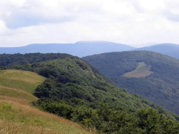 Bieszczady 2007 – Rabia Skała – Kremenaros – Wlk. i Mł. Rawka – 29 07 2007, zdjęcie 15