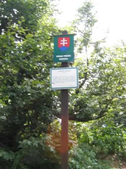 Bieszczady 2007 – Rabia Skała – Kremenaros – Wlk. i Mł. Rawka – 29 07 2007, zdjęcie 20
