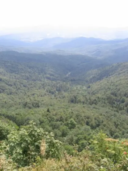 Bieszczady 2007 – Rabia Skała – Kremenaros – Wlk. i Mł. Rawka – 29 07 2007, zdjęcie 21