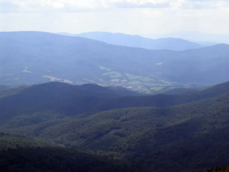 Bieszczady 2007 – Rabia Skała – Kremenaros – Wlk. i Mł. Rawka – 29 07 2007, zdjęcie 23